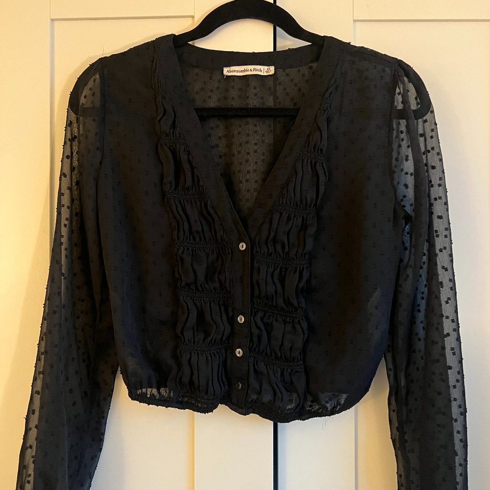 Abercrombie and Fitch sheer black v-neck long blouse in XS